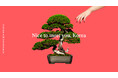 日本発のLifestyle & Beautyブランド「AHRES」が台湾、香港に続き、韓国でのお取り扱いを開始。 Nice to meet you, Korea.