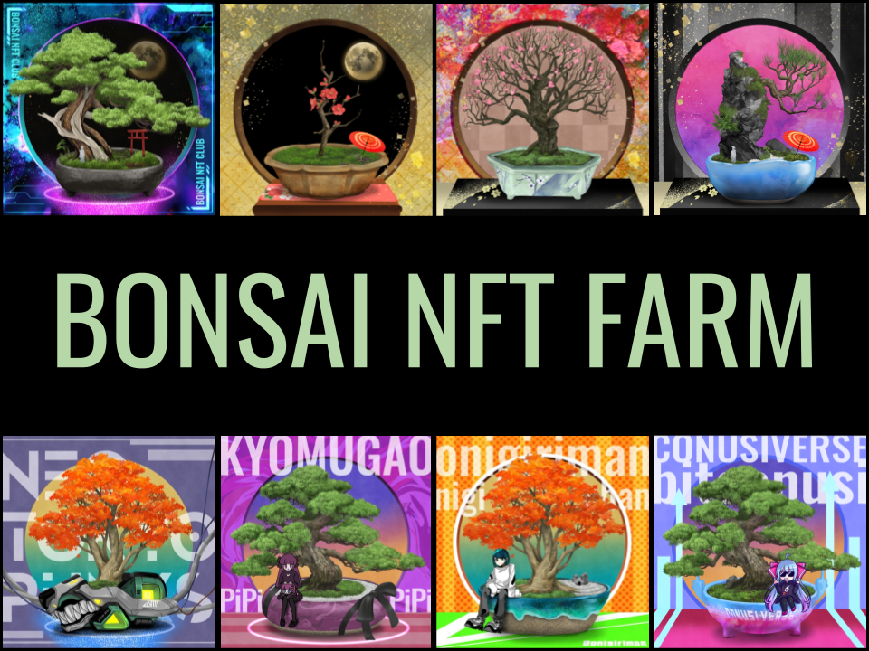 Nftを買うと本物の盆栽が送られてくる Bonsai Nft Club が 第二弾となる8031体のnftプロジェクト Bonsai Nft Farm を10月18日にリリース Bonsai Nft Clubのプレスリリース