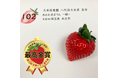 おいしい「いちご」NO.1が決定!日本一は、埼玉県本庄市『あまりん~極~』久米原農園 八代目久米原美幸に決定!