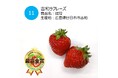 ”初開催”おいしい「夏いちご」NO.1が決定!日本一は、広島県廿日市市吉和『冠苺』吉和ラフレーズに決定!
