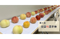 おいしい「桃」NO.1が決定!日本一は、山梨県甲州市「まるみや農園/甘麗露(アマレーロ)」が最高金賞を獲得!