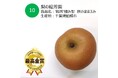おいしい「梨」NO.1が決定!今年の日本一は、梨の船芳園 (千葉県船橋市)「’船芳’極み梨 秋のほほえみ」に決定!