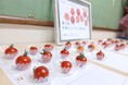 ミニトマト日本一が決定！東京都府中市「さわとまと柔/澤藤園」が最高金賞を受賞！