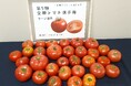 ラージトマト日本一が決定！越冬トマト「株式会社曽我農園/新潟県新潟市」が最高金賞を受賞！
