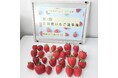 おいしい「夏いちご」NO.１が決定！日本一は、奈良県天理市「カジュレアの古都華『極夏ノ雫』(ゴクカノシズク）/いちご農園カジュレア」が決定！