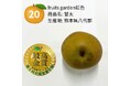 おいしい「梨」NO.１が決定！今年の日本一は、fruits garden虹色（熊本県八代郡）「甘太」に決定！