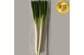 青果物の品評会「野菜ソムリエサミット」2023年11月度結果発表!