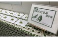 「第3回 全国えだまめ選手権」新潟県妻有地域（十日町市・津南町）「つまりちゃまめ／株式会社柳農産」が最高金賞を獲得！
