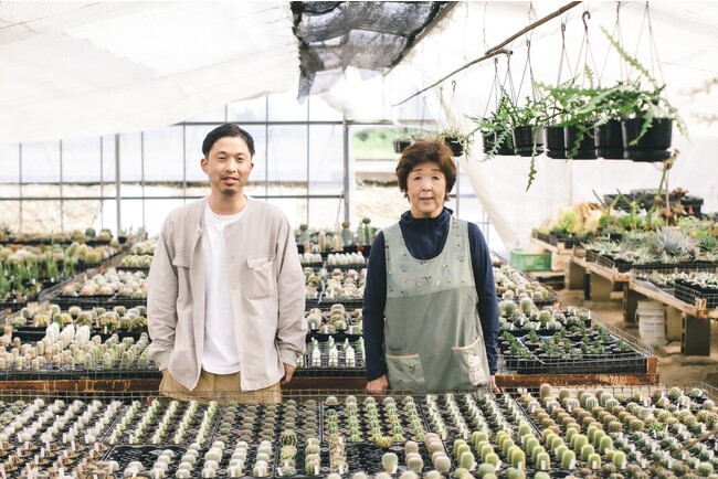 多くの多肉植物を取り扱う後藤サボテン