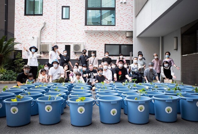 昨年度、苗植えの様子