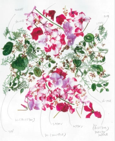 『花のル・コリ～紫咲～』使用花材
