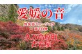 サウナ外気浴ミュージック『愛媛の音』第10弾をリリース【愛媛県・喜助の湯】