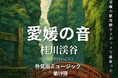 サウナ外気浴BGM「愛媛の音」シリーズ第19弾 『桂川渓谷』のせせらぎと野鳥のさえずり【愛媛県・松山市】