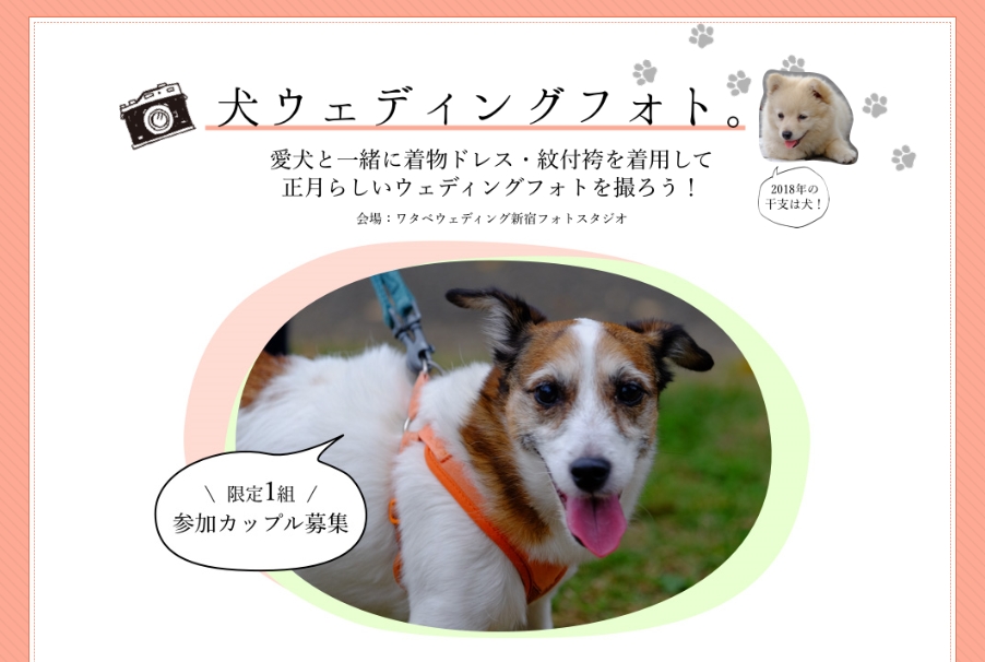 来年は 戌 いぬ 年 幸せの干支フォト年賀状でごあいさつ 犬ウェディングフォト 参加カップル募集 ワタベウェディング株式会社のプレスリリース