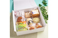 【木村屋總本店】<新商品>春から初夏のお楽しみをひと箱に。オンラインショップ限定「5月のお楽しみセット」を5月6日16時より予約受付開始。