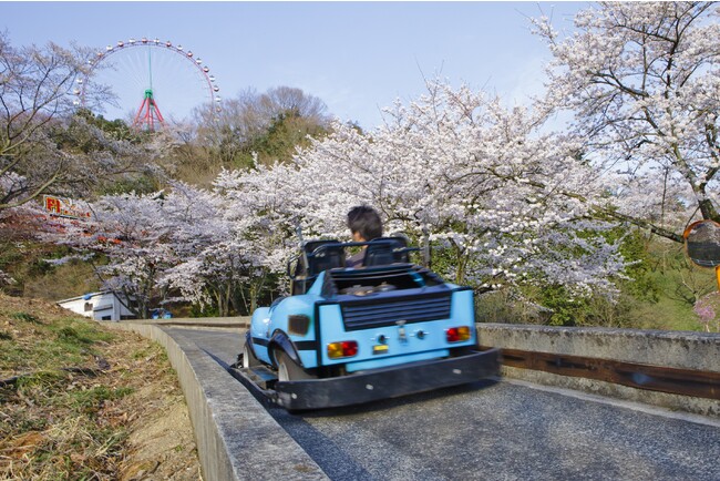 F-1カートで“お花見ドライブ” F-1カートで“お花見ドライブ”