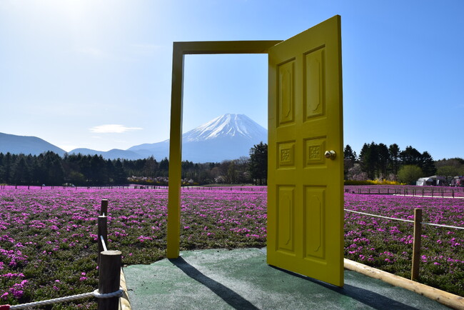 幸せの黄色い扉