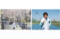 関東有数、2,500本の桜を眺めながら楽しくRUN!「第5回さがみ湖さくらラン」3/30(日)開催