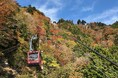高低差763m、山麓から山頂へ広がる秋の絶景 身延山ロープウェイ、10月下旬から紅葉の見頃へ 山梨・静岡・長野県民限定「紅葉キャンペーン」 2026年10月10日（土）～11月23日（月・祝）まで開催