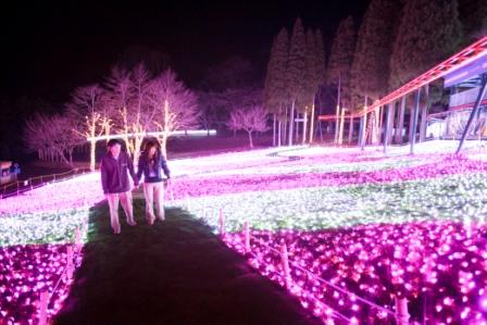 関東最大級１００万球のイルミネーションが輝く冬の祭典 さがみ湖イルミリオン にバレンタインイルミネーションが登場 富士急行のプレスリリース