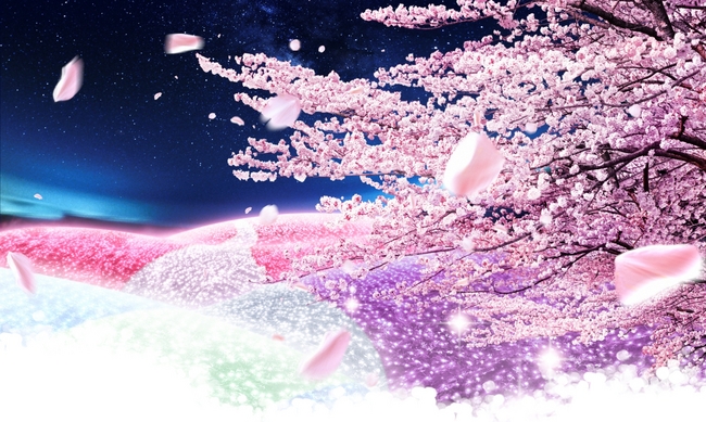 無料イラスト画像 上夜桜 桜 イラスト 和風