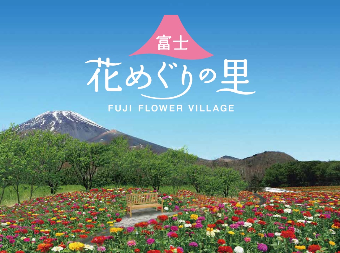 一面に広がる花畑と富士山の競演 富士 花めぐりの里 7 23 土 オープン 富士急行のプレスリリース