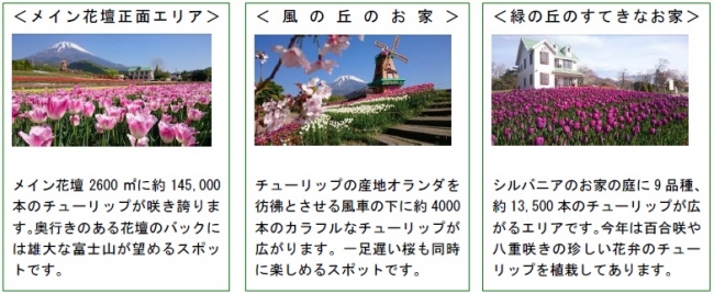 雄大な富士の景色と万本のチューリップを楽しむ春の祭典 18天空のチューリップ祭り 4 21 土 開幕 富士急行のプレスリリース