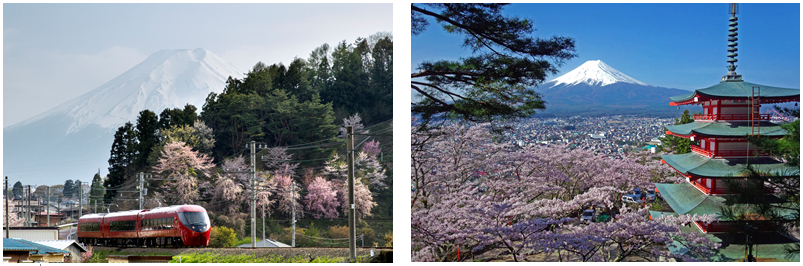 富士急行線 桜キャンペーン２０１９ 開催 富士急行株式会社のプレスリリース