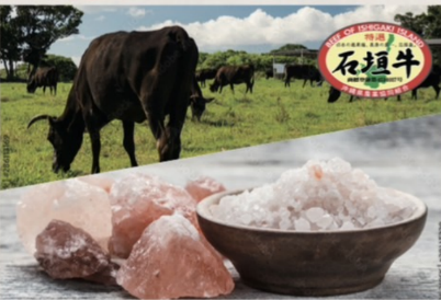極上の贅沢石垣牛の饗宴