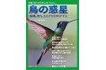 私たちがどこに行こうとも,空を見上げれば,そこには彼らの姿がある『鳥の惑星 飛翔,渡り,さえずりを科学する』12月16日(月)発売