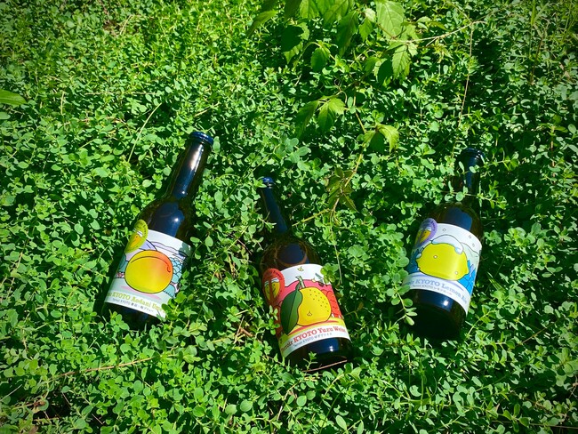 テロワール３種の果実