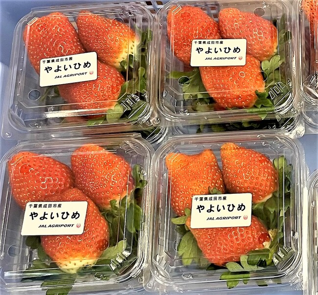 苺パック 苺パック