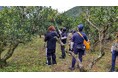 ウテナとともに、高知県北川村のゆず産業を支援