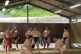 【ホテルミュースタイル犬山エクスペリエンス】 大相撲ファン必見!『時津風部屋 朝稽古見学&ちゃんこ鍋付き 特別宿泊プラン』