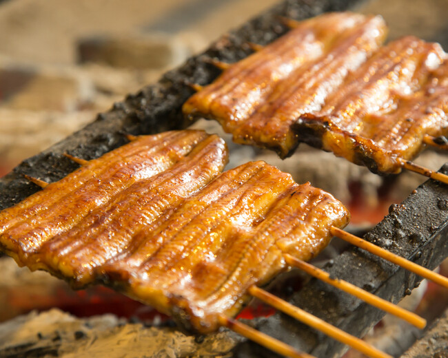 『うなぎの大沼』の蒲焼 『うなぎの大沼』の蒲焼