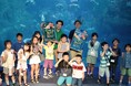 【開催レポート】閉館後の新江ノ島水族館で、魚のケアを間近で学べる特別なバックヤードツアーと、正しいキズの手当てを楽しく学べるセミナーを開催親子61名が参加!