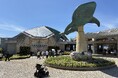 水族館では全国初！沖縄美ら海水族館で近距離モビリティ「ウィル」導入
