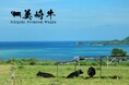 【美崎牛】石垣島から直送。「美崎牛」公式ECサイトがオープン!