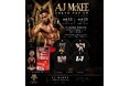 AJ McKee 来日記念ポップアップが神宮前で開催。限定Tシャツ・コレクタブルバブルヘッドを数量限定で販売