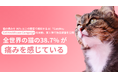 猫の痛みを 96% 以上の精度で検知する AI アプリ「CatsMe」、世界中の猫の健康維持に貢献するべく 「Cat Healthcare Campaign」を始動