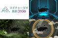 岡山県真庭市の自然と文化を守る「ネイチャーダオ真庭3100」発足!【日本初*】絶滅危惧種IA類"フサヒゲルリカミキリ"の3D NFTを6月4日(虫の日)に販売開始!
