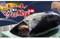 現役高校生が起業！マグロ解体体験でふるさと納税へ初参入