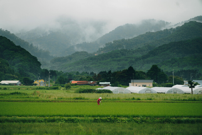 山奥の農家 山奥の農家