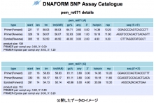 1検査 1 980 円 最短2時間半で検査結果がわかる新型コロナウイルス次世代 P C R 検査 P C R Smartamp 法 を用いた 駅前検査 場が 12 10 木 オープン 株式会社ss Dnaformのプレスリリース