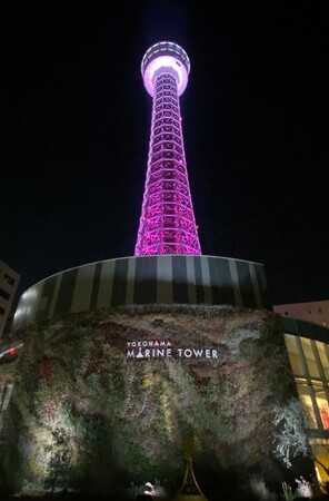 横浜マリンタワー、ピンクライトアップのイメージ