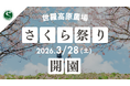 【広島／世羅】2026年3月28日OPEN！「さくら祭り」から世羅高原の花イベントスタート《世羅高原農場》