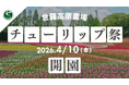 【広島／世羅】75万本のチューリップが咲きあふれる「チューリップ祭」4月10日OPEN！《世羅高原農場》