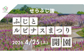 【広島／世羅】約1,000本のふじと彩り豊かなルピナスが咲き広がる花園「ふじとルピナスまつり」4月25日OPEN！《せらふじ園》
