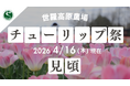 【広島／世羅】チューリップが見ごろを迎えています　チューリップ祭《世羅高原農場》