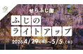 【広島／世羅】ふじのライトアップ「ふじとルピナスまつり」園内をライトアップします　4月29日から5月5日まで《せらふじ園》
